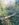 12B306F6-962B-44E3-9038-5FFCD1178B4C.jpeg