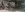 42147787_2349570545058206_6584525790682021888_o.jpg