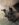 CF262323-4530-4358-929D-927C0E76BF2B.jpeg