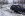 DCP_3796scragg.jpg
