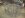 cage 1.jpg