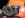 Dscn1542.JPG