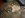 DSC01787.JPG