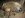DSC01795.JPG