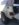 DACC6E62-29F5-41C6-AFE1-078F94304ED0.jpeg