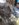 IMG_20181019_181453.jpg