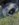 393CAE70-9A0C-451E-A2CA-363E62A4ECF7.jpeg