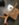 CB09FB15-D857-4808-AB45-D5331EEE1692.jpeg