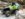 62F873A8-BF59-4365-8A93-B1167431CFCB.jpeg