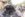 E0E9C364-CA1B-4199-8C8C-01F307B832B6.jpeg