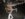 B6105FE6-3E53-48AF-849F-6FE373F9177E.jpeg