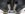 indexhtf.jpeg