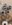 44658288_2038597459531473_2097063669702590464_n.jpg
