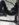 1CD6F762-0193-4D7A-9F27-9BD7FA167776.jpeg
