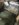 8BFB1EBA-0441-4CF8-B341-BED69EA8F984.jpeg