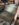 B9377E94-ECC2-4E84-A5CD-3E07895FBE67.jpeg