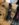 2AA15434-C09B-44C2-985D-8C9058021A22.jpeg