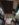 E7187F05-50A4-4F40-A423-F5348207406B.jpeg