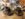 20181020_145809_Burst01.jpg