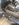 upload_2018-10-27_18-27-44.jpeg