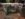 4114B2D4-418C-48C9-92BB-0BC470086EA4.jpeg