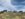 C63456C4-7B6A-4D65-9C54-DD0F3E536BDD.jpeg