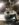 77D9D509-A903-46DA-A9D1-DAD66ADA7EBC.jpeg