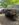 bumper3.jpg