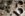 A9D3BF58-DB10-4AA1-8FCC-697532A81404.jpeg