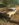 92F465B4-3B31-42A7-94D4-FEA800C5A806.jpeg