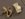 wiring harness clips resized.jpg