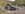 Dickey Buggy #2.jpg