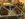 F0BA04E2-B643-4D6C-9864-DAA8AA36ED32.jpeg