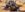 4870A64B-46D1-46BA-AEEF-10021ED910C1.jpeg