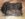42BE7CF7-1961-4A62-B510-A7158FE30743.jpeg