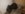 15417345313753242562679098341656.jpg