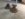 8B535FFD-37A8-4E9F-B9C3-7AA82602AFFA.jpeg