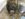 3F208F4C-E9B5-4FAC-A1F6-F3988BC257B0.jpeg