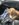 79599709-AC08-436F-AB35-2581DB80F8D9.jpeg