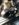 64C1598C-3A49-435B-A02C-1FAB84B10CDE.jpeg