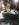 471EF946-1CBC-4516-B952-7B7DD55466BB.jpeg