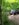 VideoCapture_20181113-081434.jpg