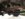 307801EE-4BC9-4454-98F0-121A216958C5.jpeg