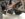 CCC17427-284B-4076-8D8B-9BBA95380056.jpeg