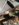 AB11DCA8-8C1A-43FA-B8CC-582D000A4E58.jpeg