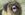 _99313663_attackdog.jpg