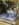 321A746A-5B95-41DF-BEA3-BB1DA5134162.jpeg
