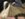 444DEB21-6D06-4246-B0AC-3002C17B0124.jpeg
