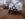 IMG_20181122_091814261[1].jpg