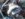 IMG_20181123_092458613_HDR[1].jpg